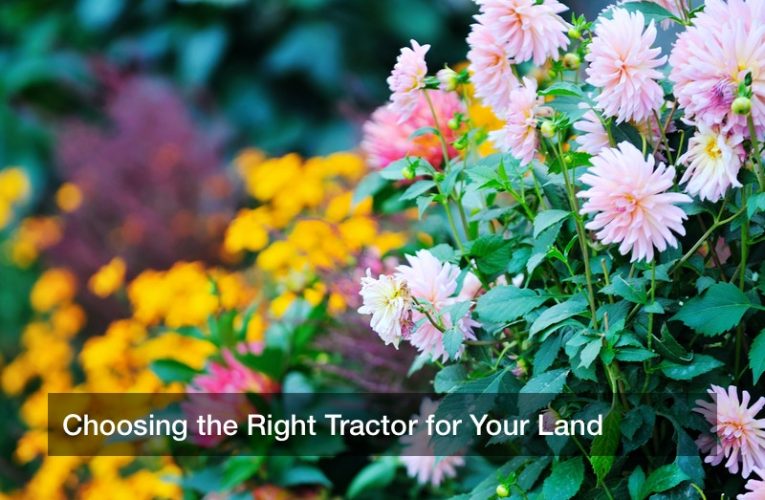 Choosing the Right Tractor for Your Land