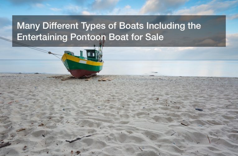 Many Different Types of Boats Including the Entertaining Pontoon Boat for Sale